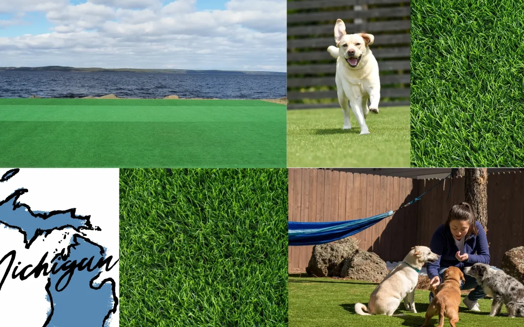 Neighbor Envy, Pet Friendly & Positive for Great Lakes